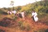 NSS camp