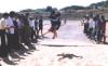 Sports-long  jump